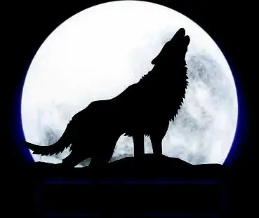 赏金猎人☆红狼的赏金日历