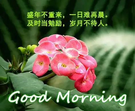 给长辈早上好祝福语优美句子(60岁以上的早上问候语) - 测八字网