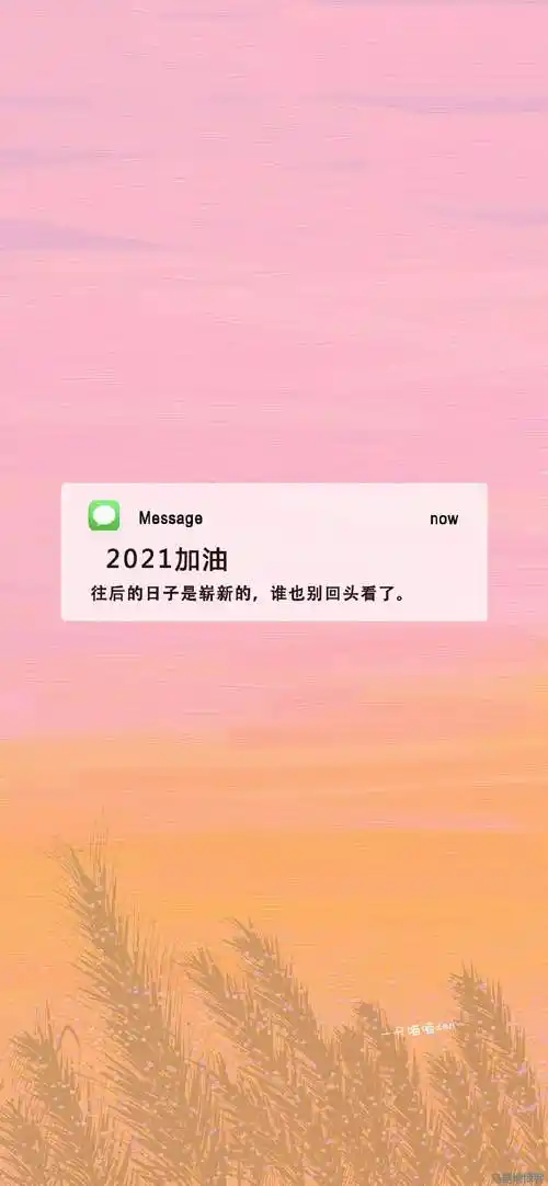 2021更好的明年图片2021更好的明年视频