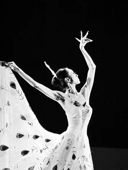 舞蹈家杨丽萍多大了 杨丽萍孔雀舞红遍国内外