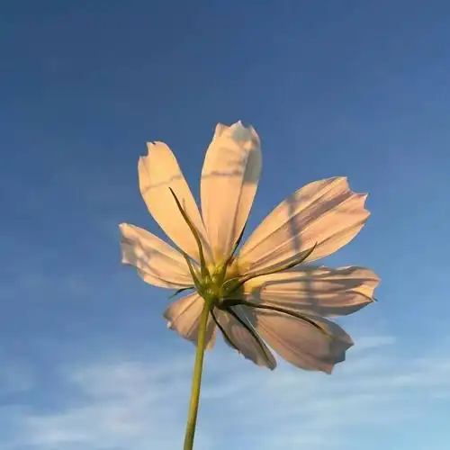 > 朋友圈封面图|好看的微信朋友圈背景图好看的朋友圈封面背景图(个性