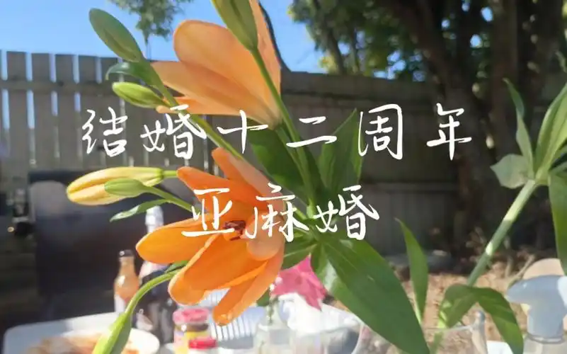 在新西兰过结婚纪念日,平平淡淡结婚十二周年-亚麻婚
