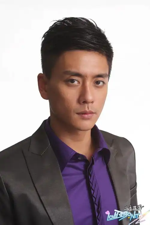 p>黄宗泽(bosco wong),1980年12月13日出生于中国香港,中国香港男