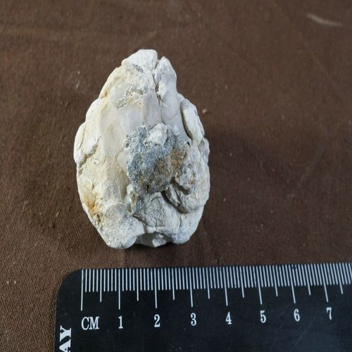 7397号 新疆罗布泊地下蛋白石天然奇石