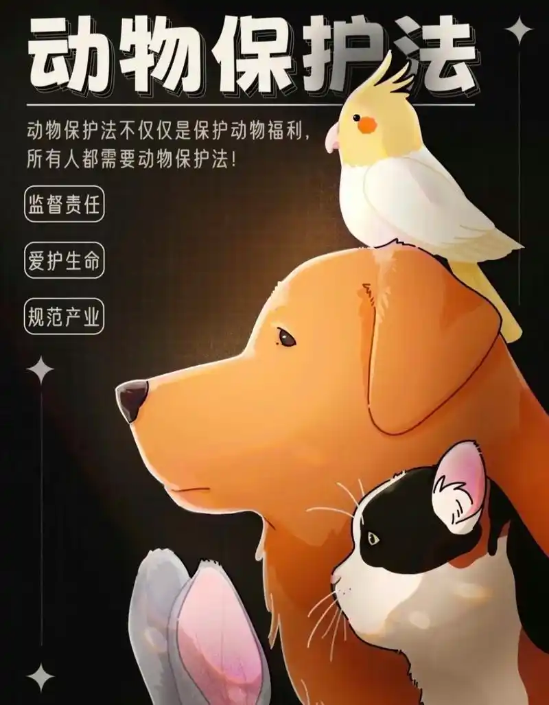 希望可以成立反nue待动物保护法!不是不可以吃肉 只是不要虐 - 抖音