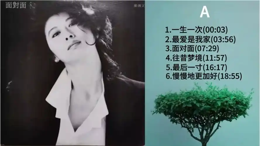 叶倩文《面对面》黑胶唱片专辑内录,无损音质,黑胶模拟味的享受