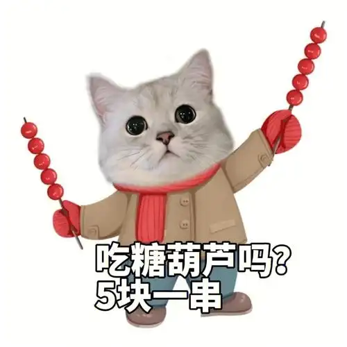 姐姐吃糖葫芦吗我请你