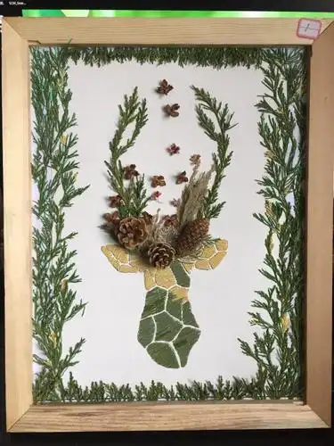 "榆林学院第二届植物艺术标本设计制作大赛"成功举办