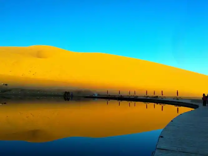 大漠黄沙,胡杨秋浓---漠北寻秋(四)