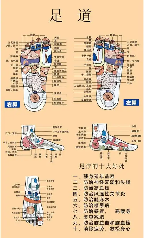 薄膜海报印制展板喷绘写真足道足疗穴位位图塑料薄膜