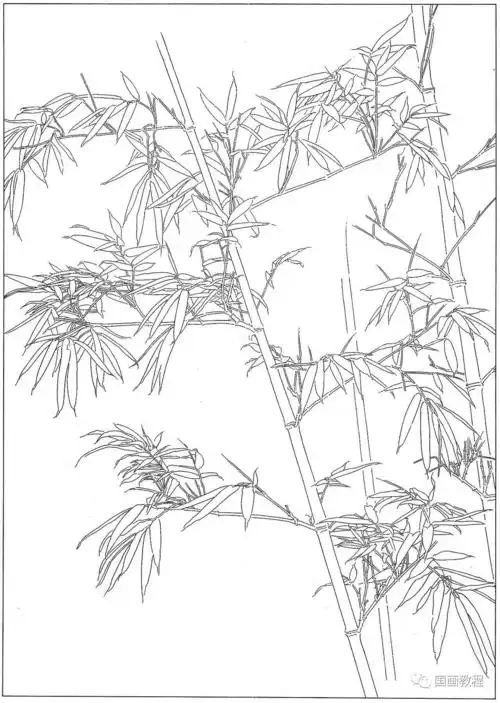 不可多得的竹子白描图有用