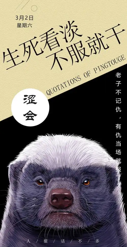 动物插画-平头哥《手抄封面》