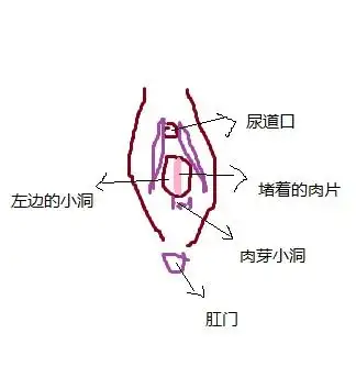 第一次做爱,找不到阴道口!怎么办?
