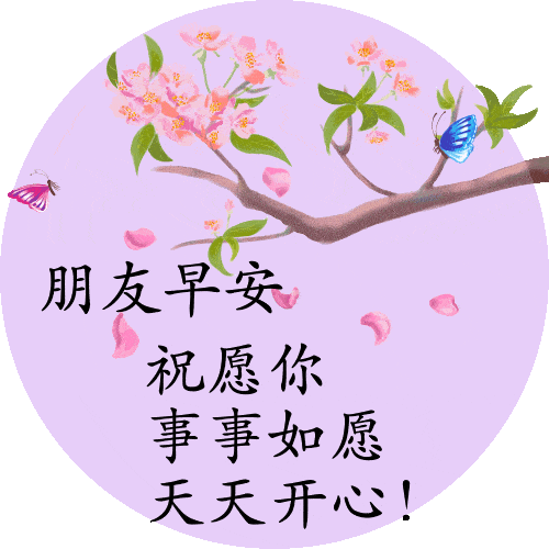 日常问候早上好动态祝福图片幸福开心动态表情包