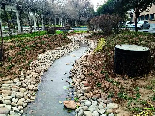 市教育局机关大院新开挖的水渠收集到的办公大楼生活废水.