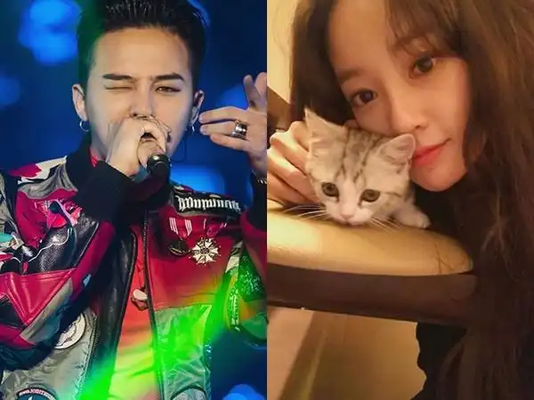 权志龙|水原希子|李珠妍_新浪新闻