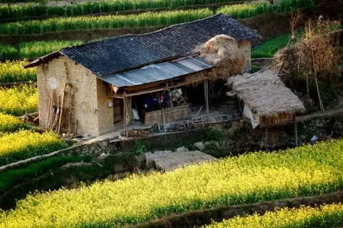 古文赏析:古人对田园生活的向往