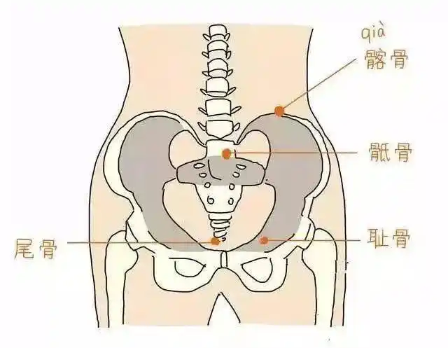 下垂扁平如何练出蜜桃臀,各种臀型练翘方法,1篇文章帮你解决|肌肉_网