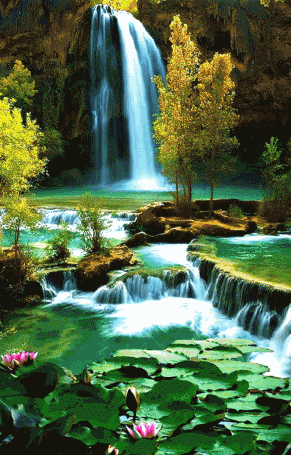 291_455竖版 竖屏gif 动态图 动图