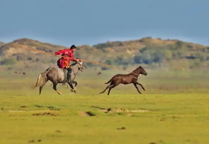 秋日草原掠影(一)