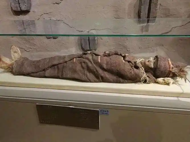 细伟干尸图片_恐怖故事