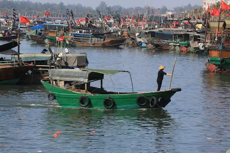 除了全国排名靠前的湛江港外,还有雷州湾,流沙港,乌石港,安铺港等渔港
