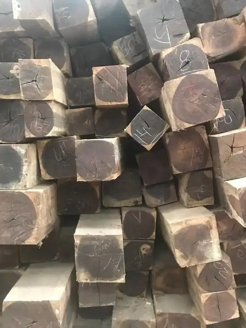 南美黑紫檀木 原木 紫檀木板材 胜鼎木业