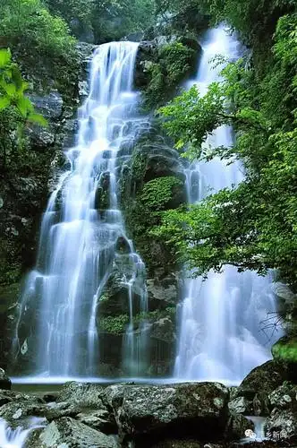 所有机动车一律停放在游客服务中心停车场,人员统一乘坐景区转运车