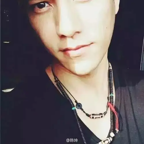 陈坤豪宅收藏曝光千万天珠收藏堪比李连杰