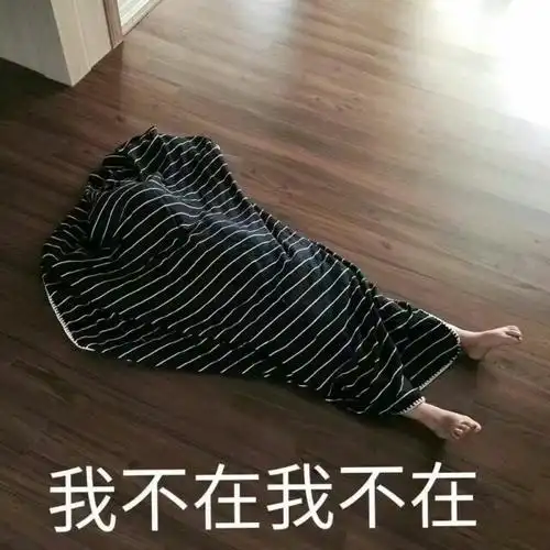 我不在我不在