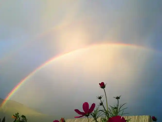 窗含田园景 天挂双彩虹——新疆之旅,第十六天 2019.09.04