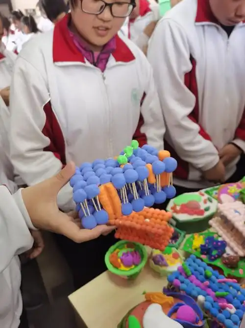 生命如此多娇--昌邑市文山中学高一生物模型制作大赛