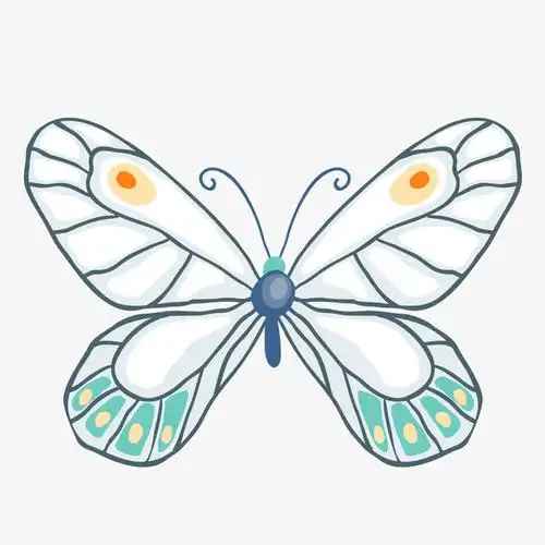 白色手绘蝴蝶