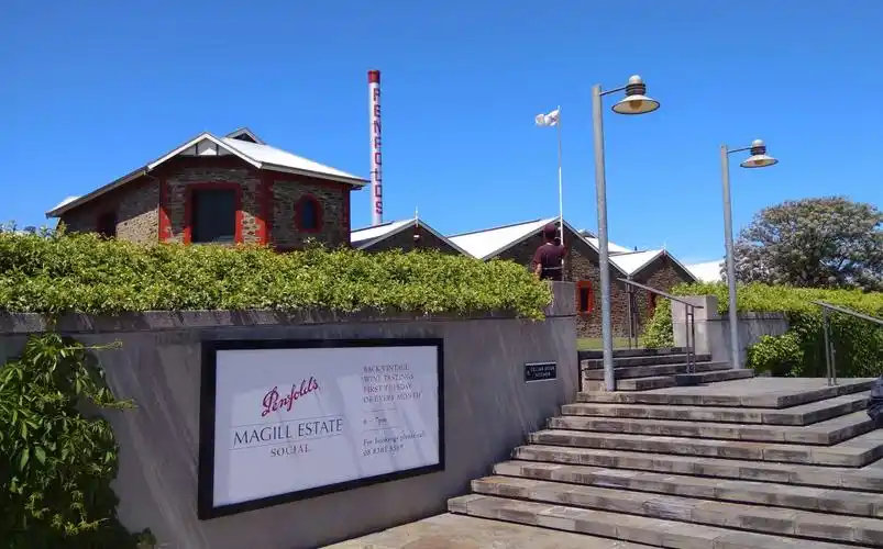 奔富酒庄有好几个庄园,我们选择了奔富玛吉尔酒庄,这里是奔富的发源地