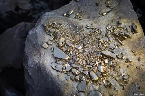 金矿石之焙烧氧化工艺