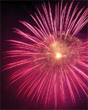 《知青文坛859期》