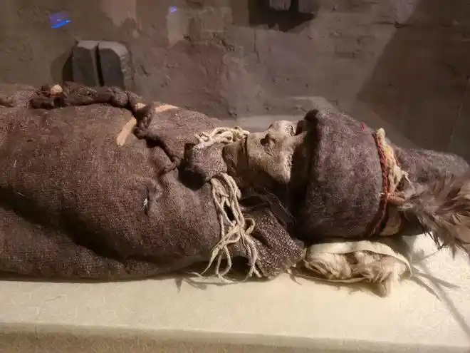 除了楼兰美女,新疆博物馆内还有多具干尸,图为小河墓地出土的女尸,头