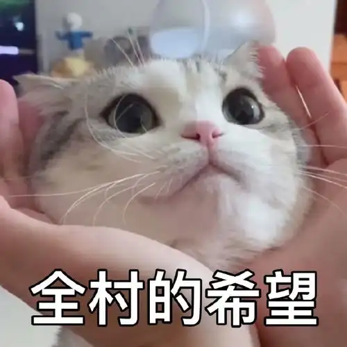 希望满眼期待可爱呆萌朋友圈评论表情gif动图_动态图_表情包下载