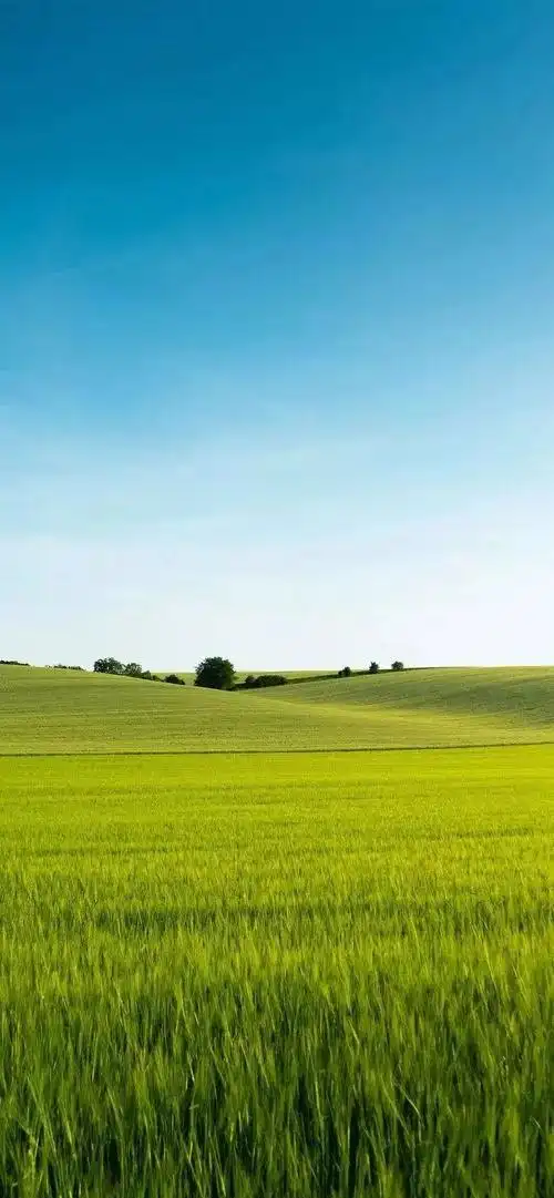 风景壁纸风景优美风光霁月美景如诗如画