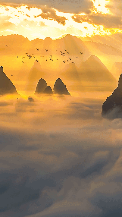 炎热的夏天,看看清爽的风景.(动图一)