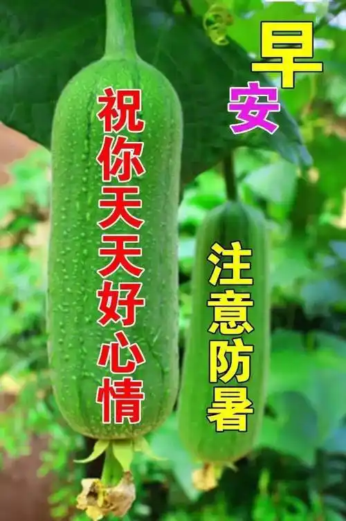 8张夏季防暑最新早安问候动态表情图片夏天多喝水天热问候图片带字