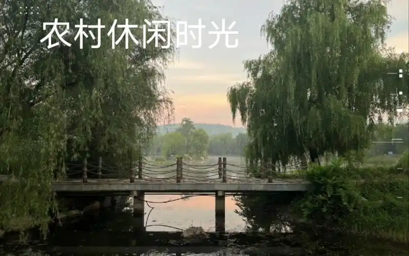 记录农村一天的风景