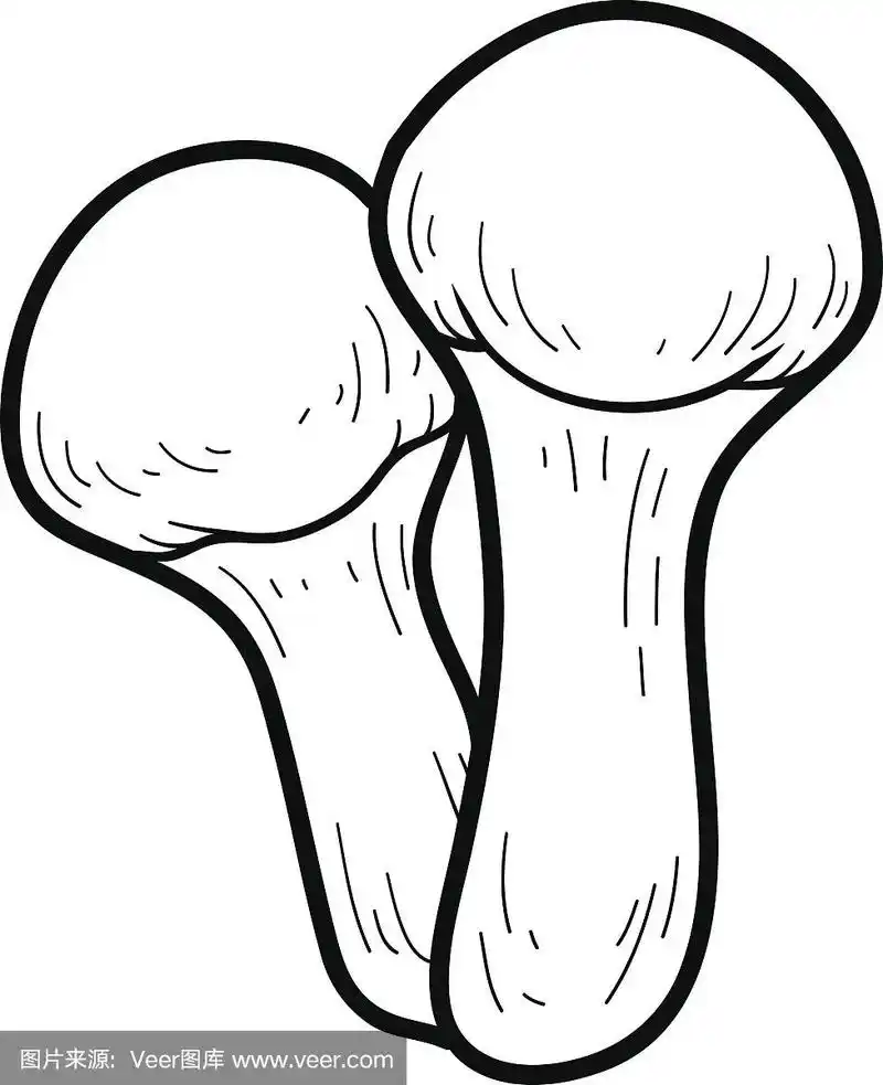 彩色的书.可食用的蘑菇,即松茸