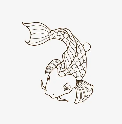 手绘线描鱼png素材