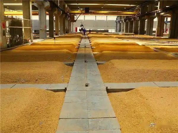 喝酒就喝那"口子"!六安广电融媒体走进口子酒厂!_工艺流程_淮北_真藏