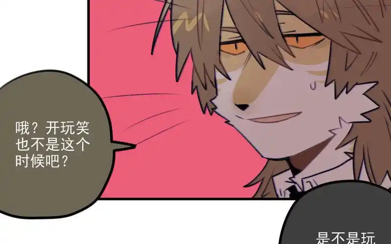 猫男子与犬男子