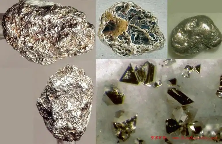 >> 矿物图片 >> 自然铂/白金-platinum