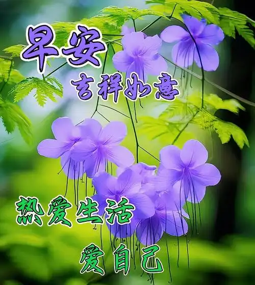 早上好朋友,朋友圈问候早上好的动态美图祝福,最新推送的早安励志暖心