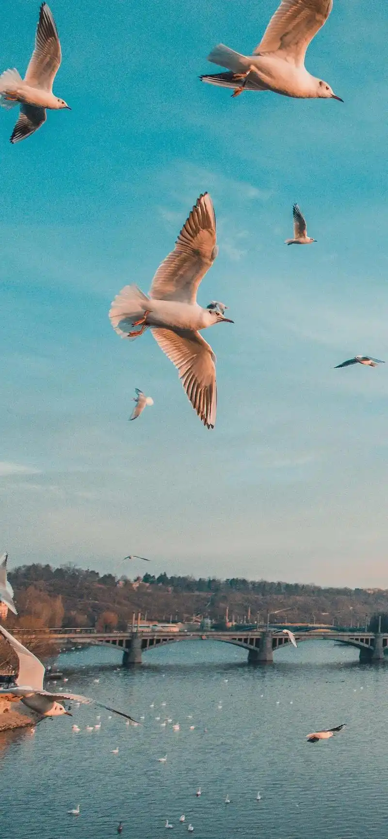 iphone壁纸4k超清