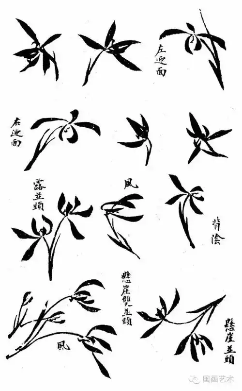 【国画教程】14集,兰花的步骤画法(2)_国画教程_零二七艺考